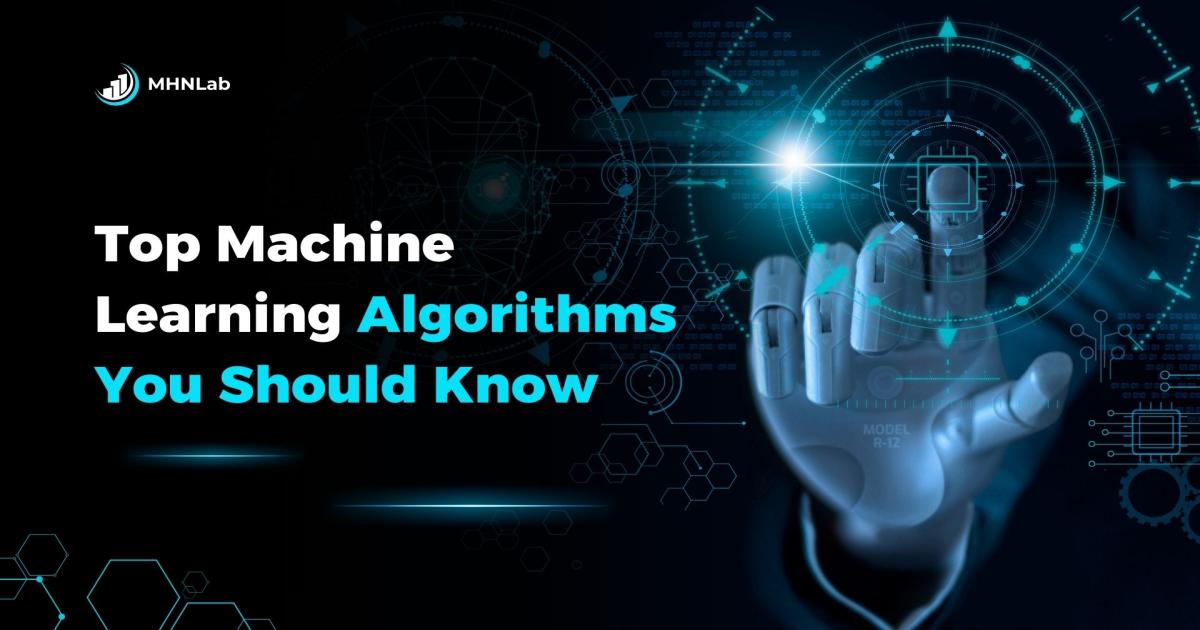 Top Machine Learning Algorithms You Should Know